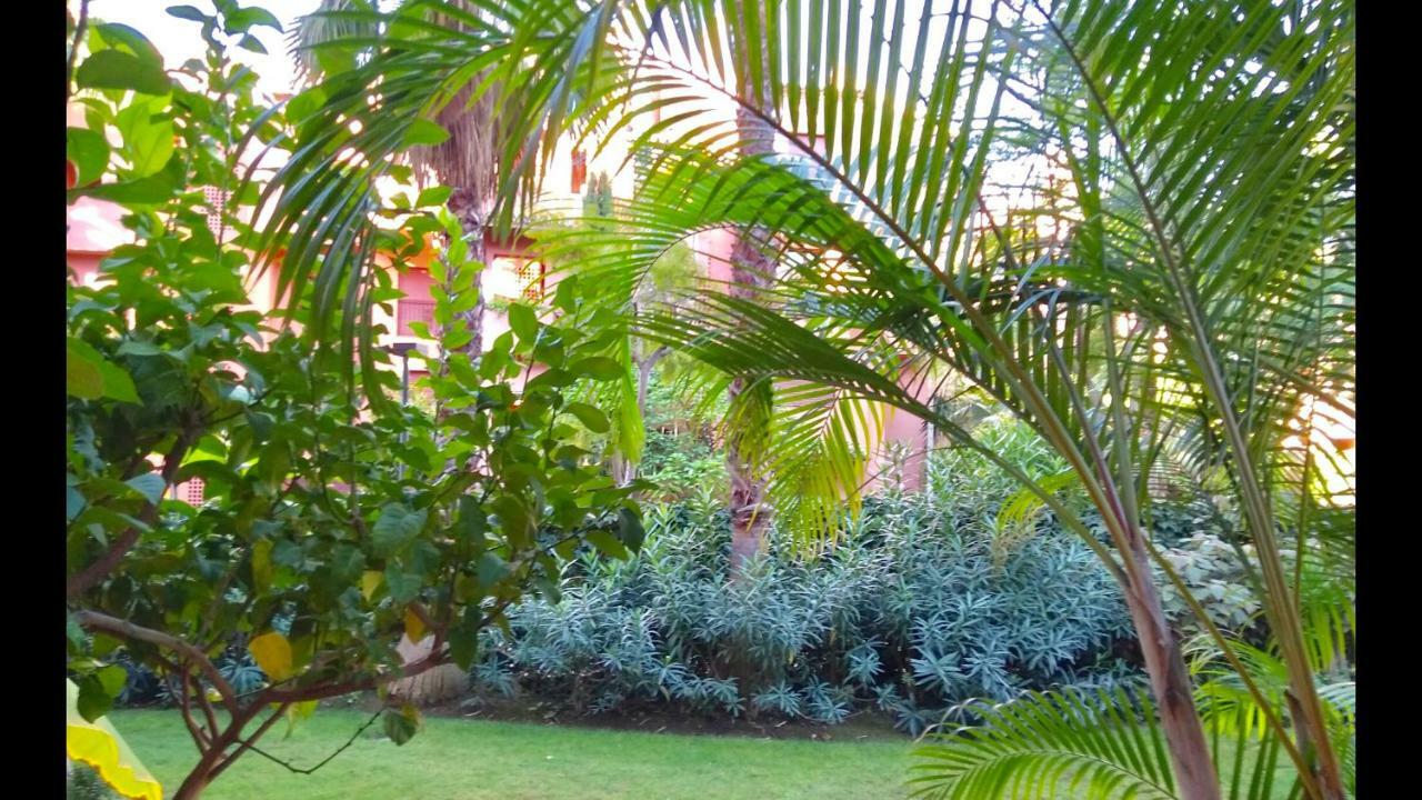 Marbella Alicate Beachfront - Luxury Apartment-2 Exteriör bild